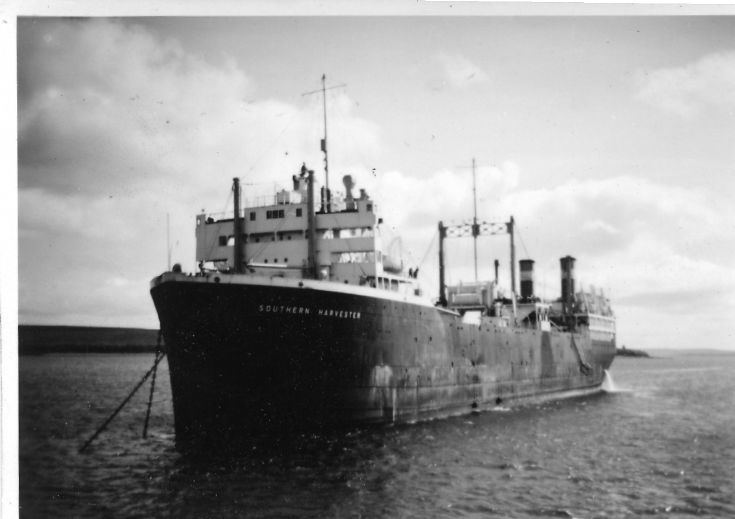 Whale factory ship