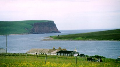 Calf of Eday