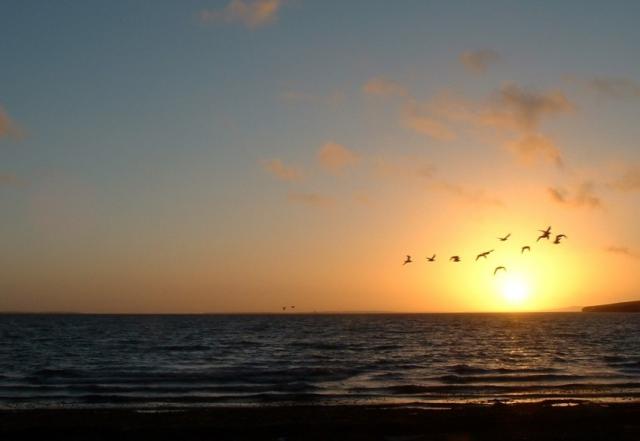 Scapa sunset