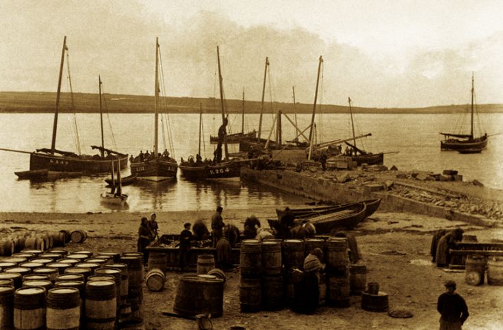 Herring Boats