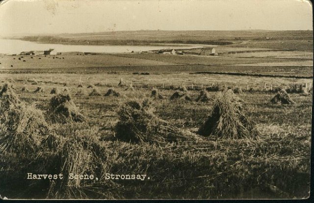 Harvest Scene, Stronsay