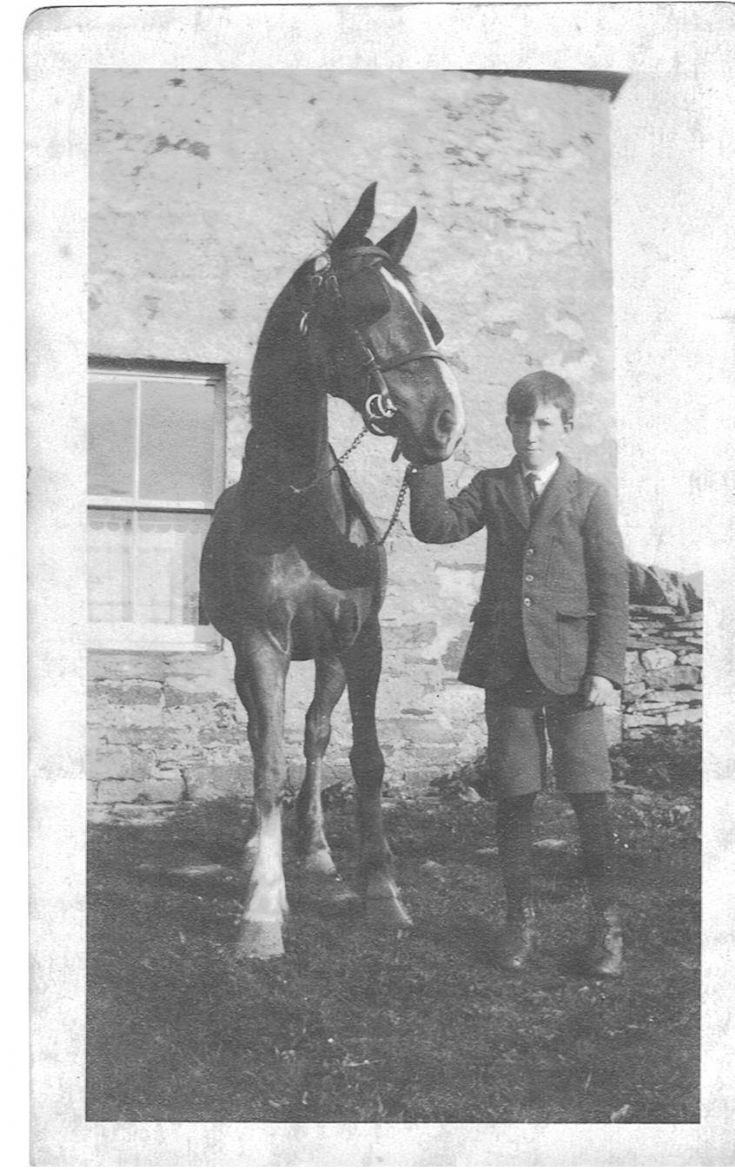 Boy and horse