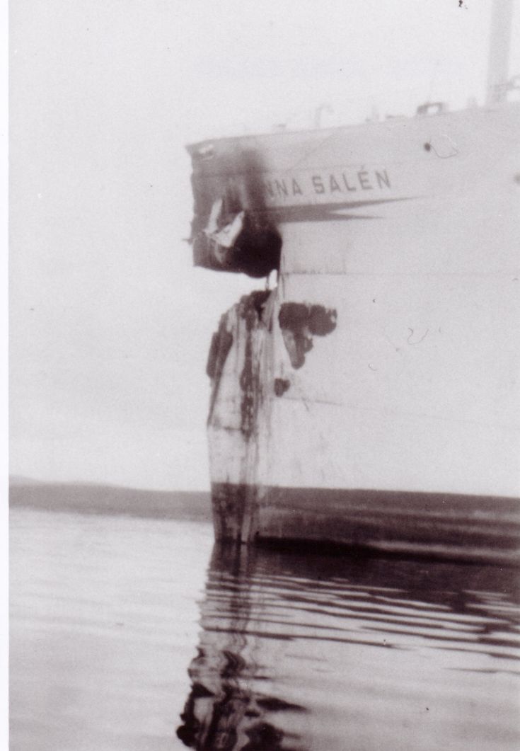 Anna Salen