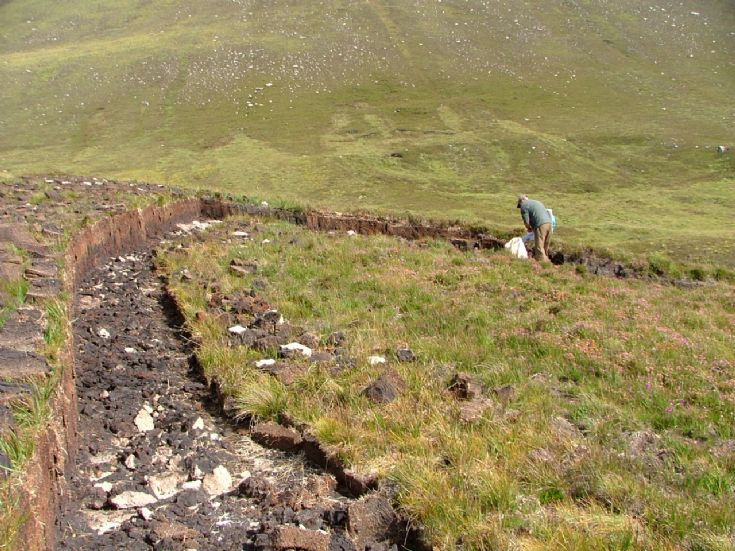 Hoy peat bank