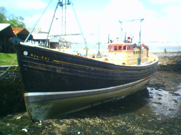 Bon Ami 2009