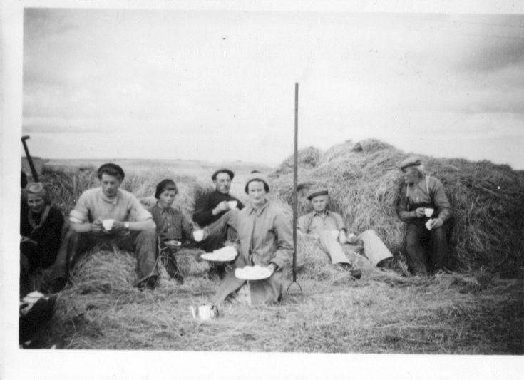 Haymaking at Glenorkney