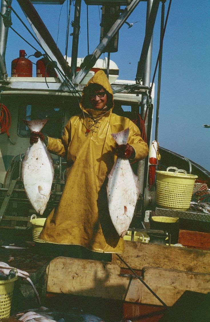 Halibut
