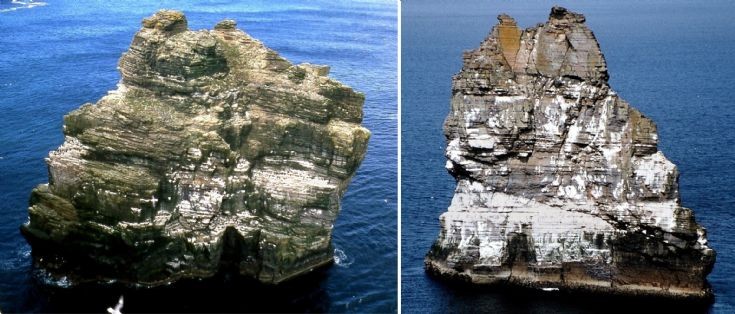 Mystery stack