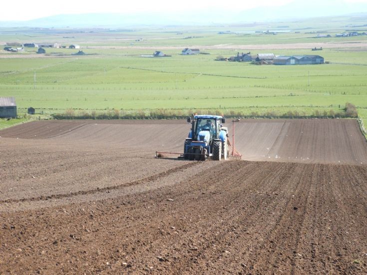 Barley sowing in Spring