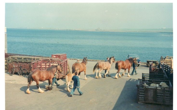 Jock's horses on the move