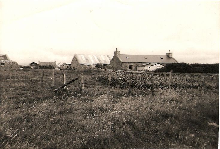 Garson, Flotta