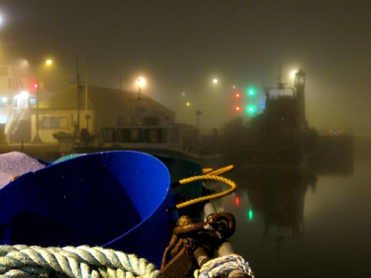 Foggy night down at the basin