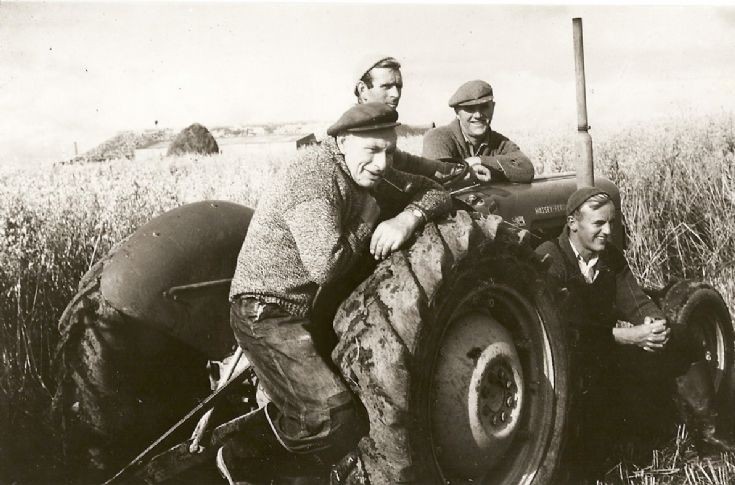 Harvest at Cleat Stronsay