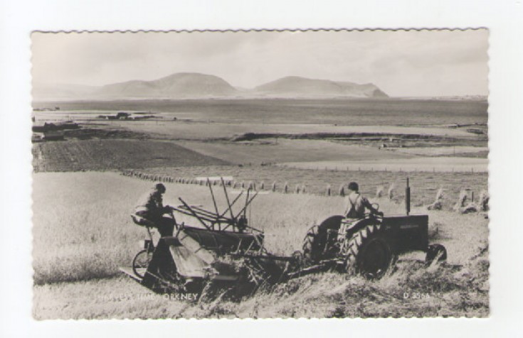 Harvest Time Orkney