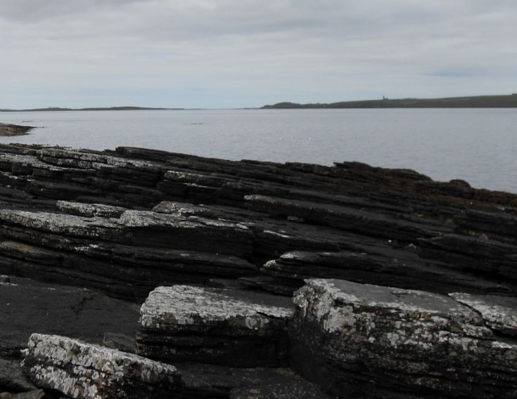 Wyre shoreline