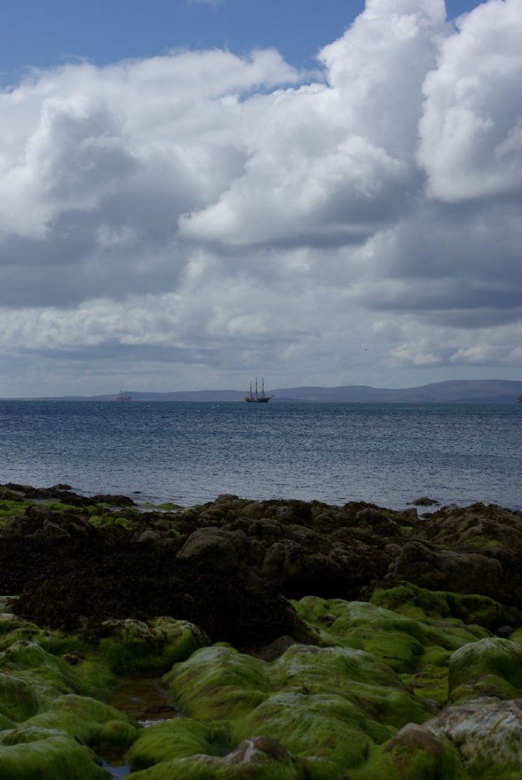 Scapa with a piratical aspect 1/2