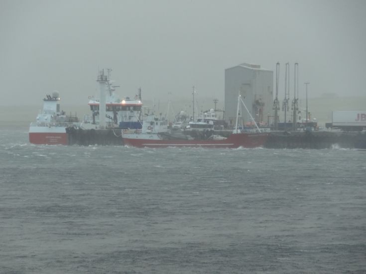 Dreich
