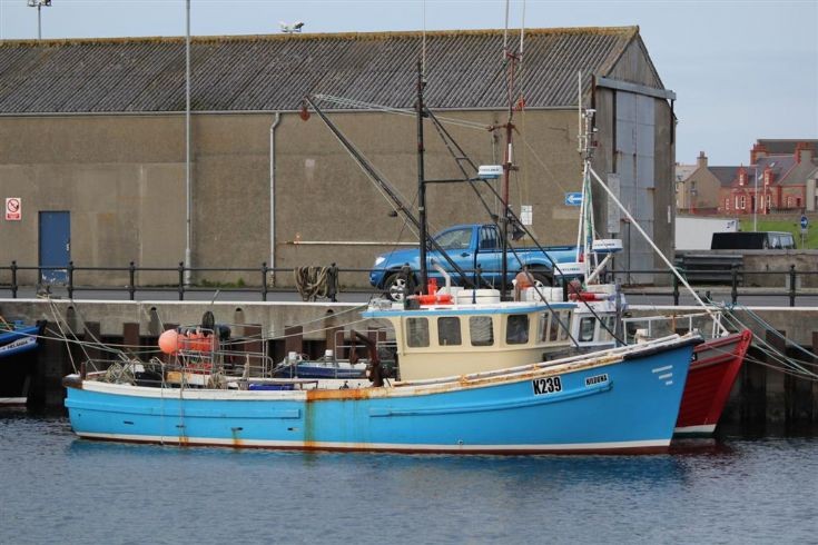K239 Hildona in Kirkwall Basin