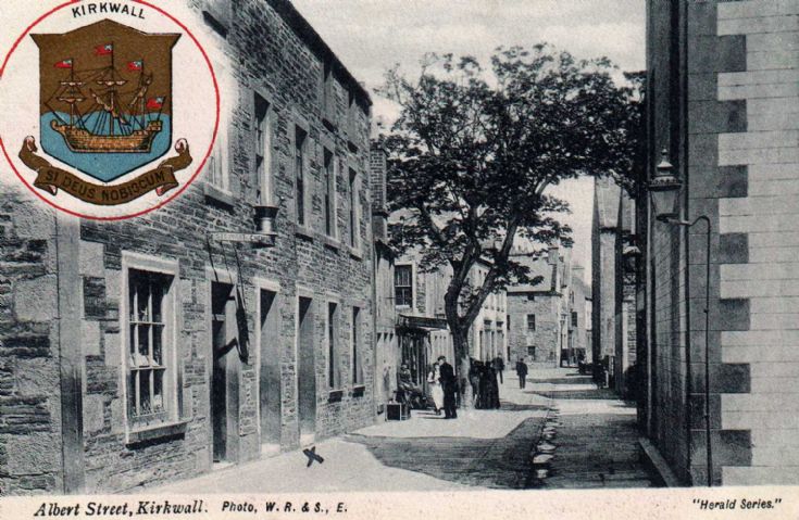 More Albert Street