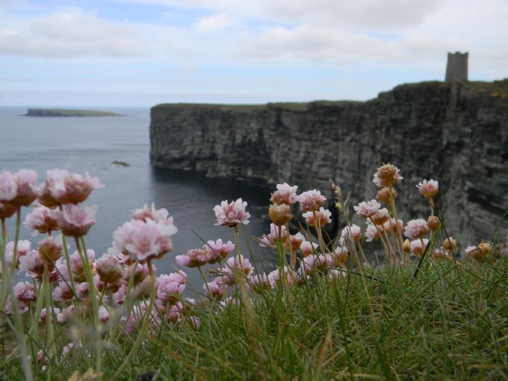 Overlooking Marwick Head 2012