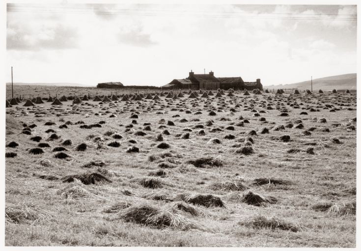 Partially stooked field 1965