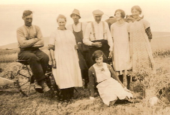 Harvest at Fursbreck