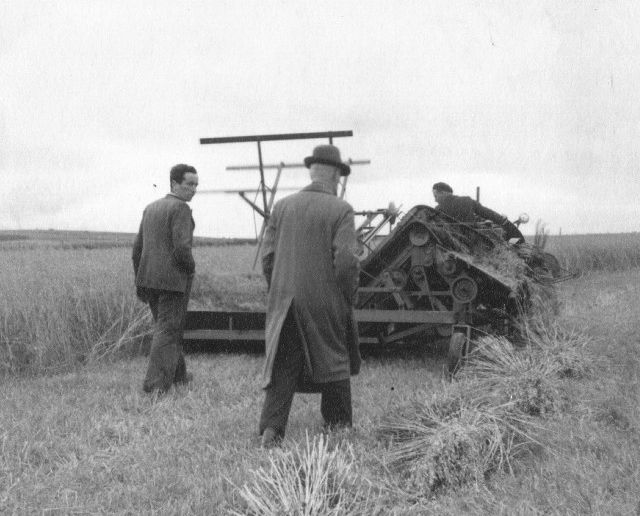 Bisset Binder at Cleat, St Ola, 1954