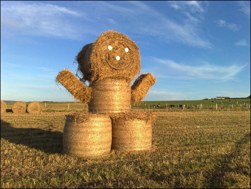 Frolics in Sandwick