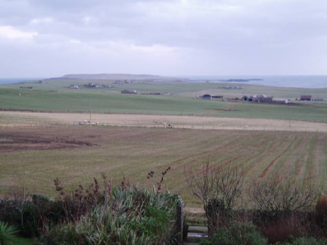 Jan 2005, looking towards Copinsay from Deerness