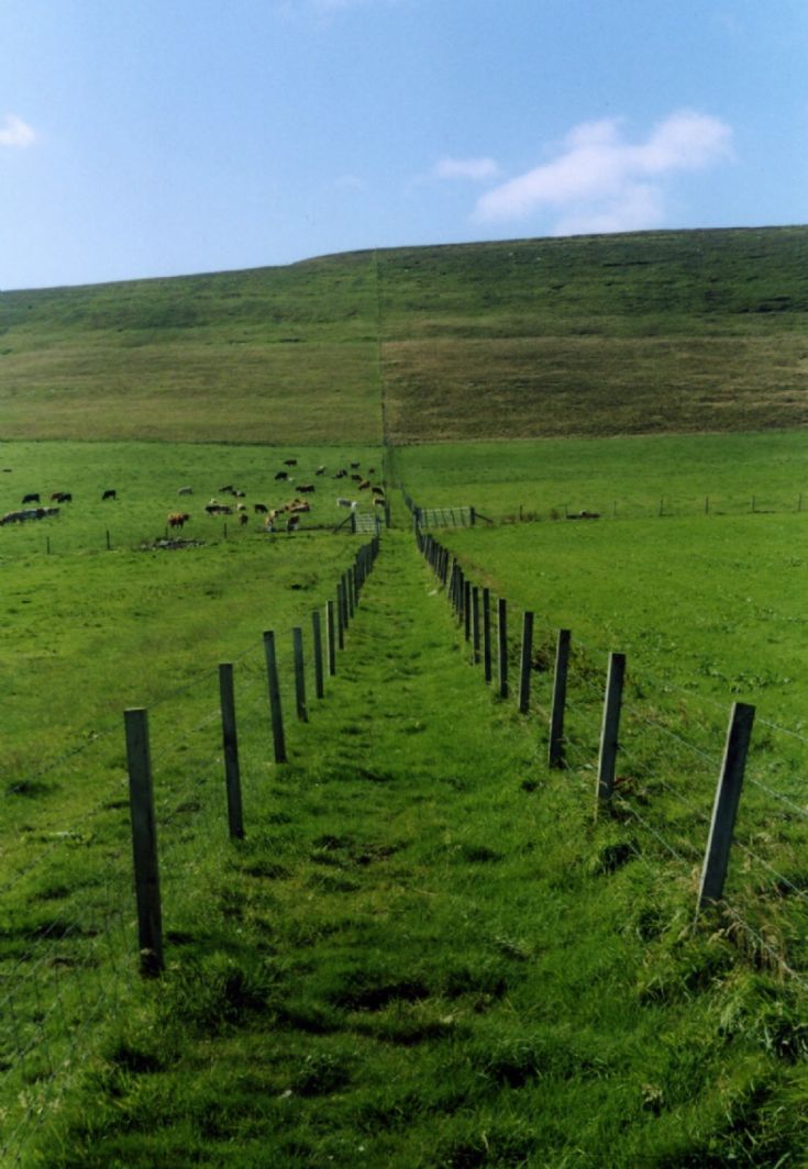 On the Way to Fitty Hill