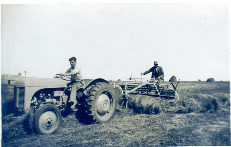 FARMING